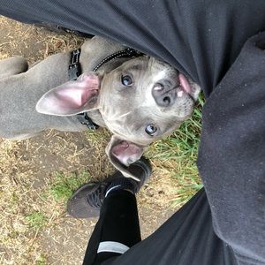 Meet your Posher, Fernand